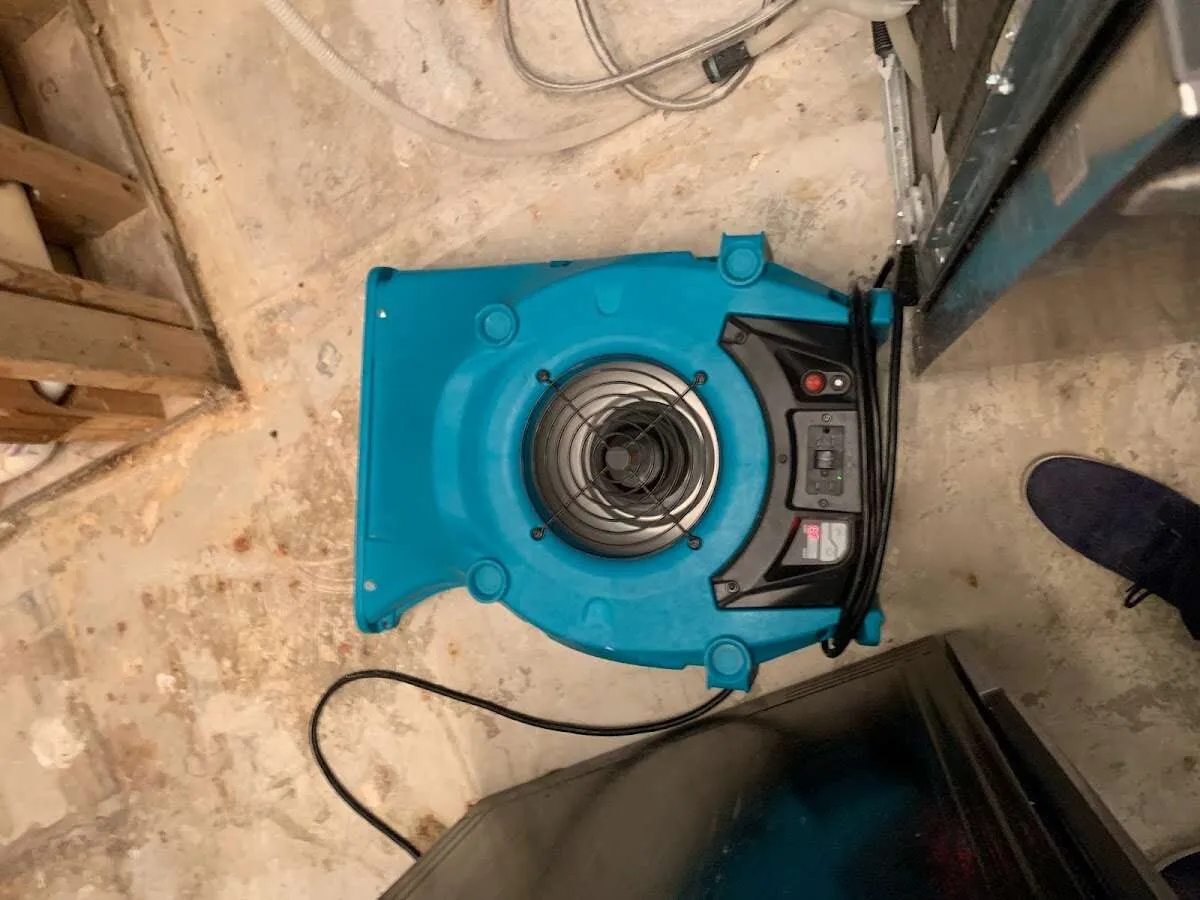 Air mover drying equipment for Mold Remediation & Removal in Angleton