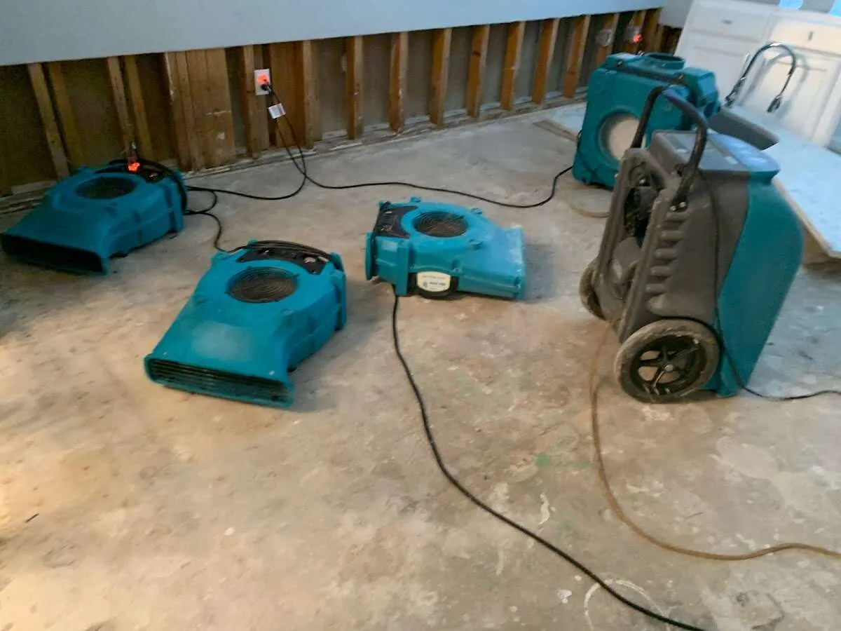 Water Damage Restoration services in Angleton, TX